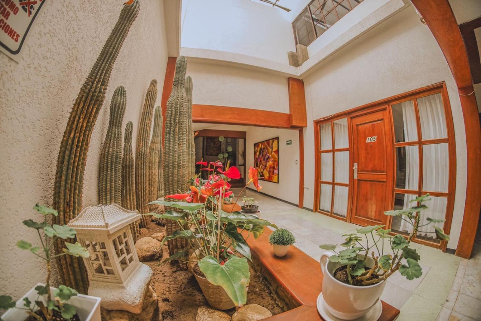 Hotel Q Oaxaca Esterno foto